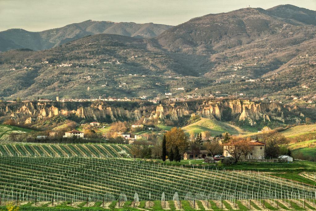 Osteria I'Casolare Hotel San Giovanni Valdarno Buitenkant foto